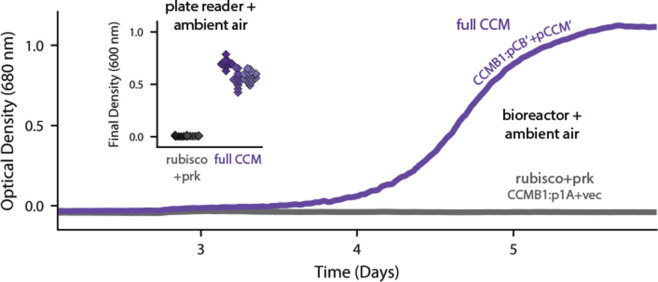 Figure 3.