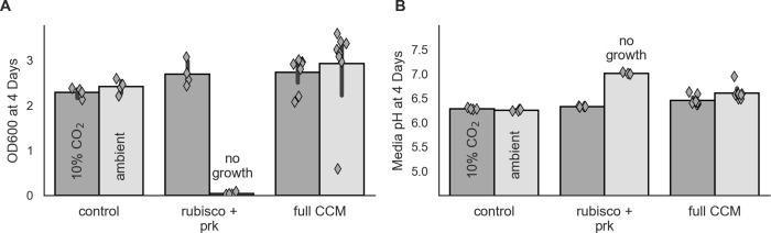 Figure 4—figure supplement 2.