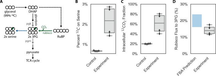 Figure 6—figure supplement 2.