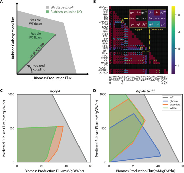 Figure 2—figure supplement 4.