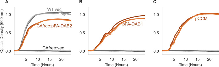 Figure 1—figure supplement 2.