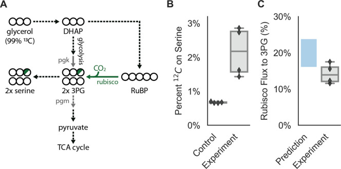 Figure 6.