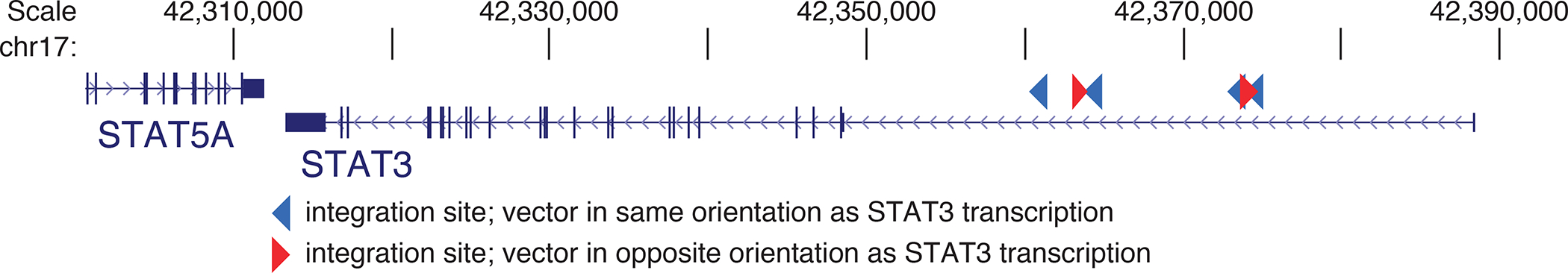 Extended Data Fig. 6 |