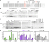 Figure 10—figure supplement 1.