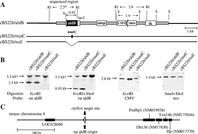 FIG. 3.