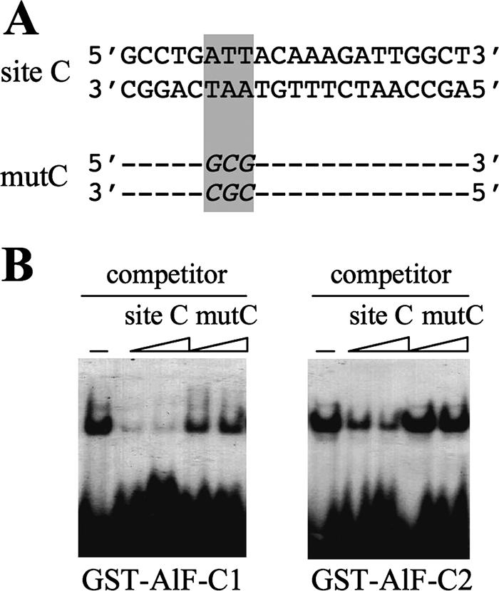 FIG. 2.