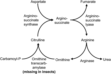 Figure 9.