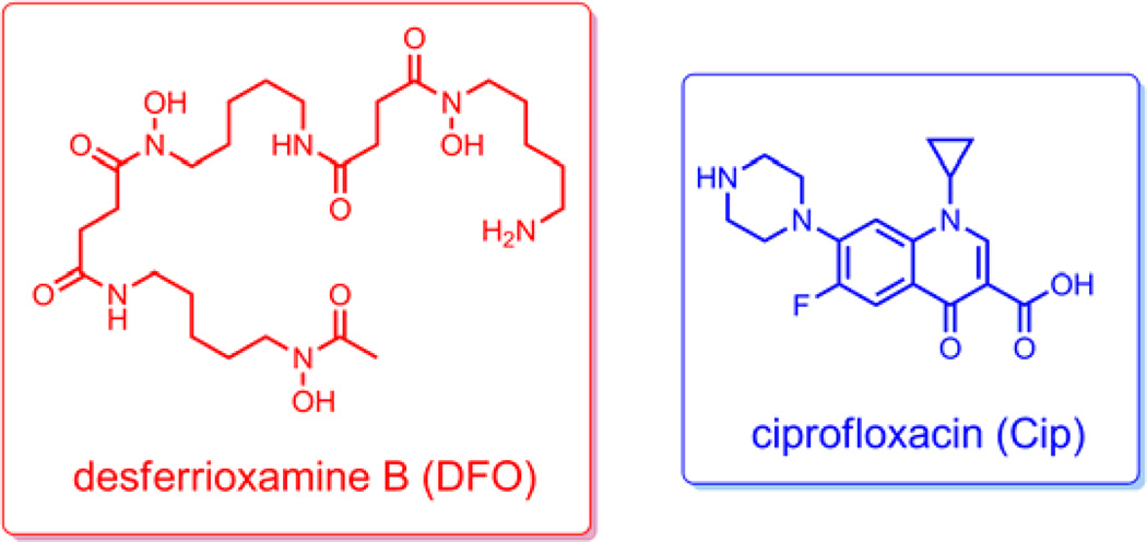 Scheme 3