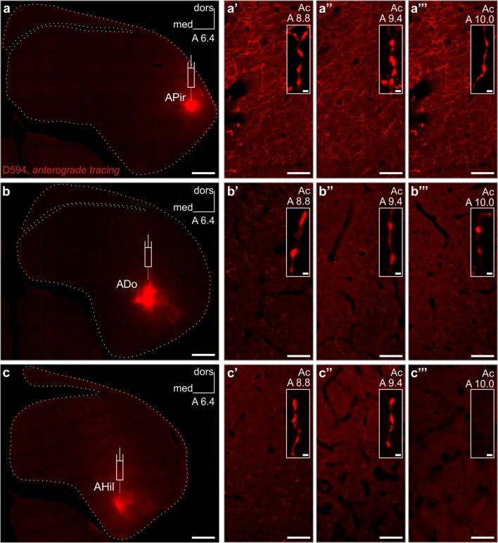 Fig. 3