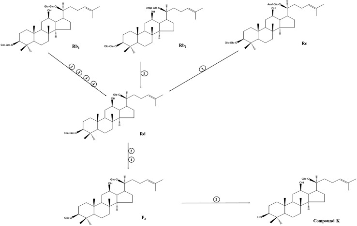 Fig. 1