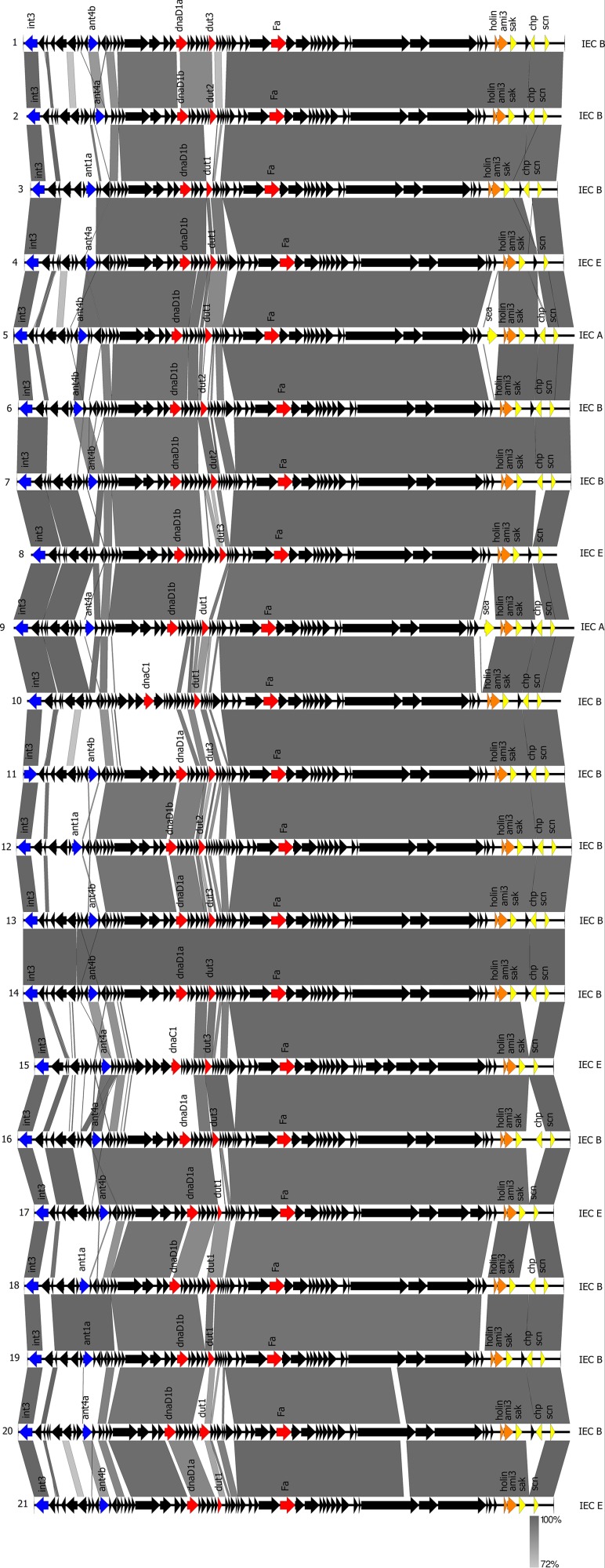 FIG 1