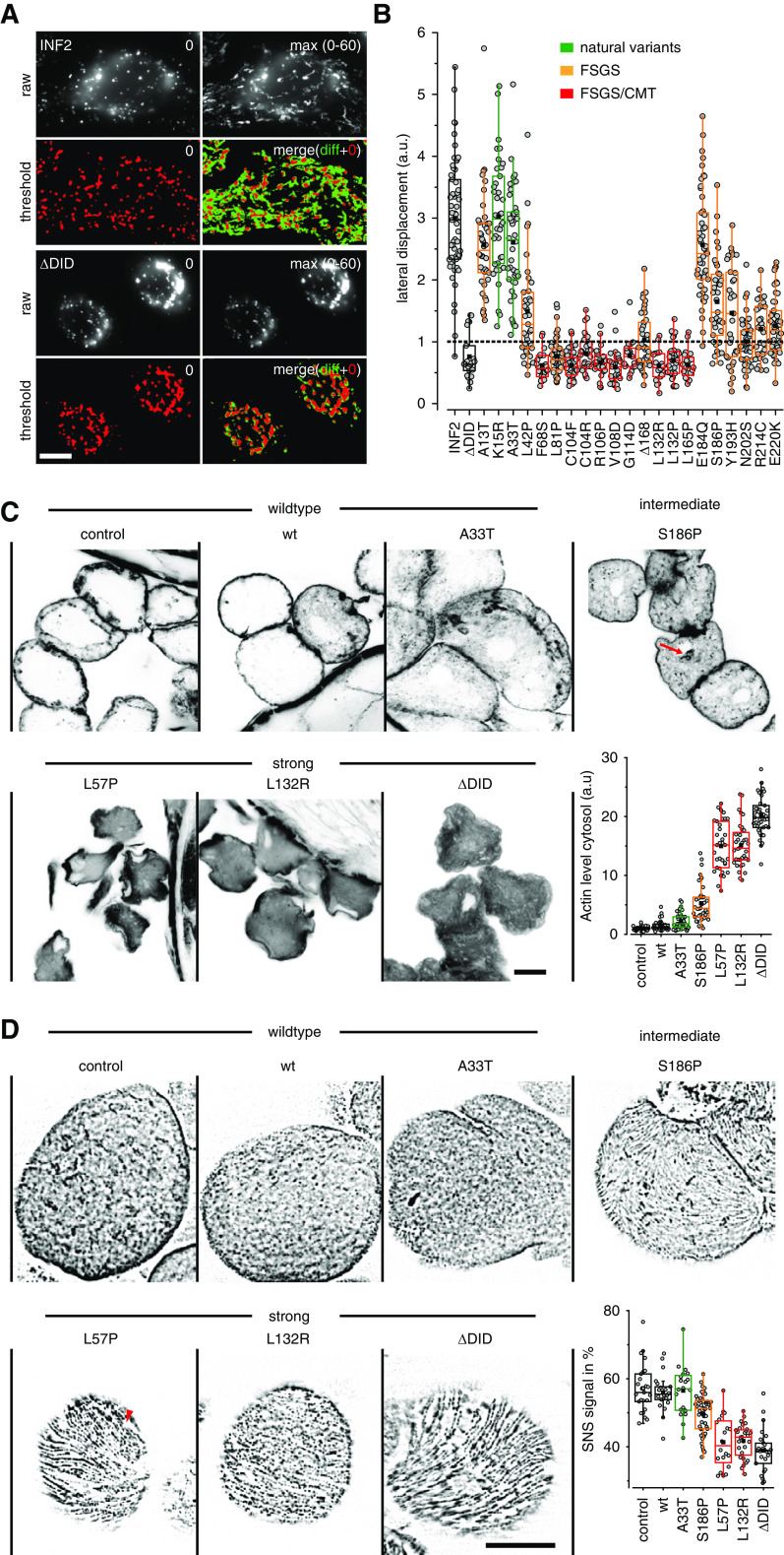 Figure 6.