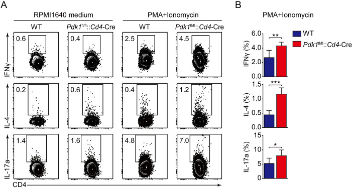 Figure 2—figure supplement 1.