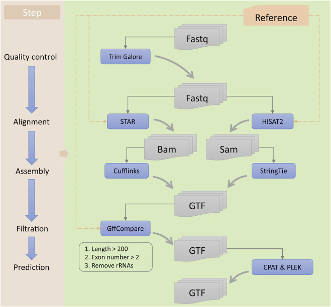 FIGURE 2