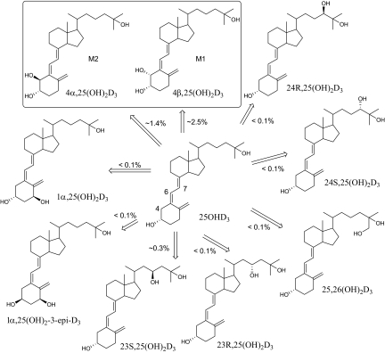 Fig. 10.