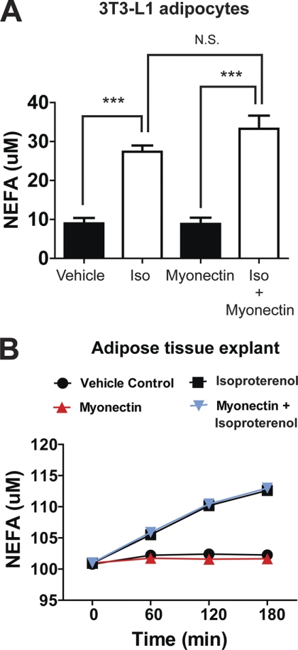 FIGURE 9.