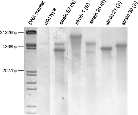 Figure 6