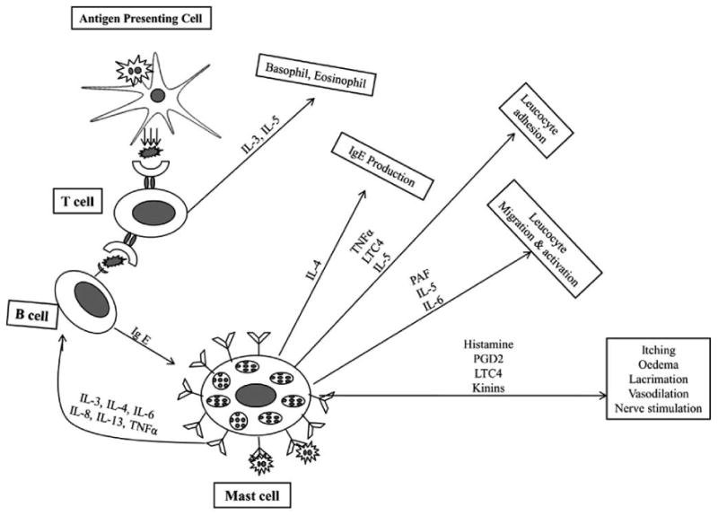 Fig. (1)