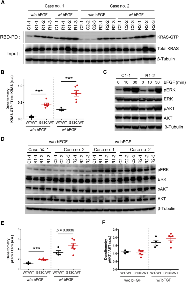 Figure 5