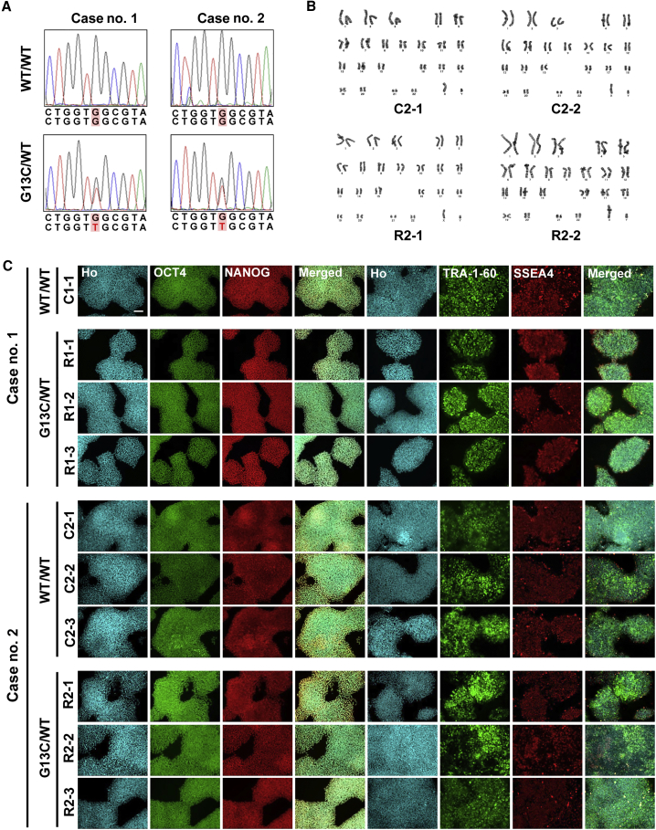 Figure 1