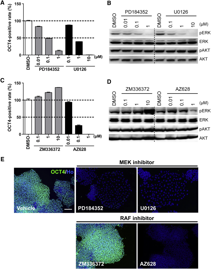 Figure 6