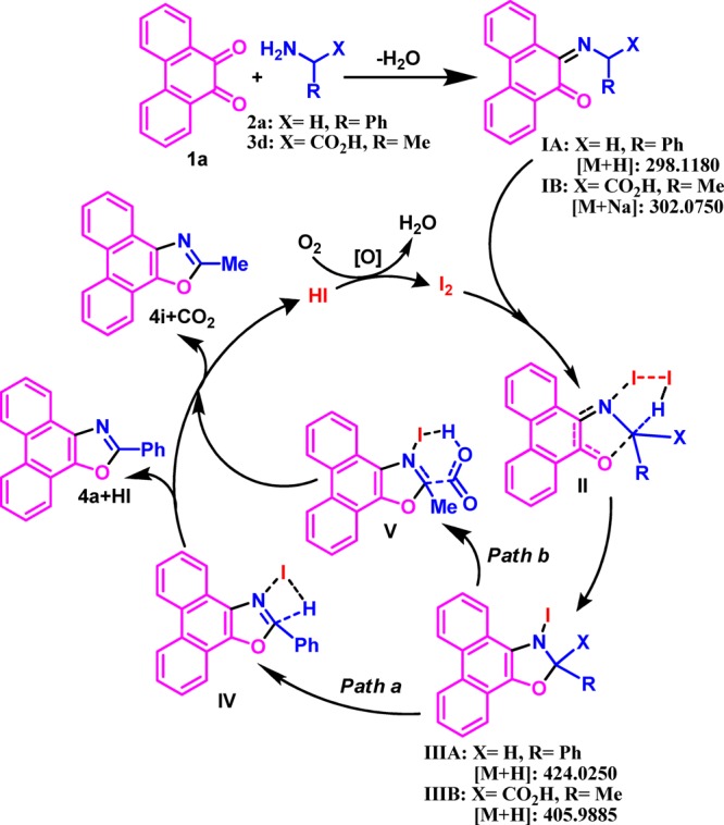 Scheme 6