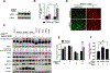 Figure 5:
