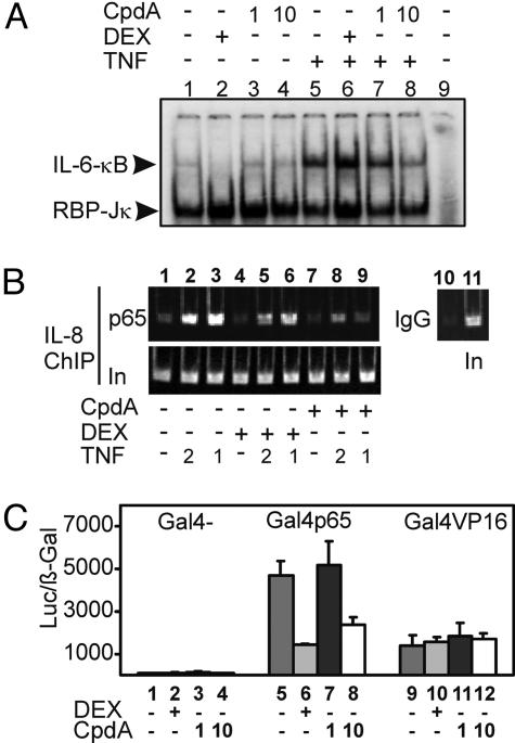 Fig. 5.