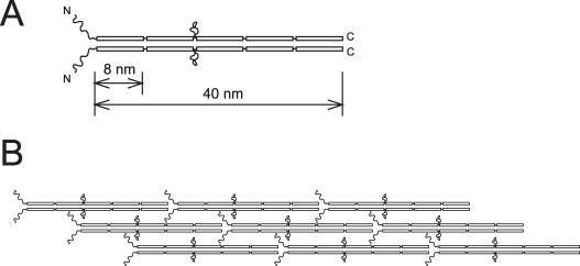 Figure 11.