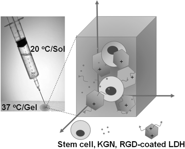 Fig. 4