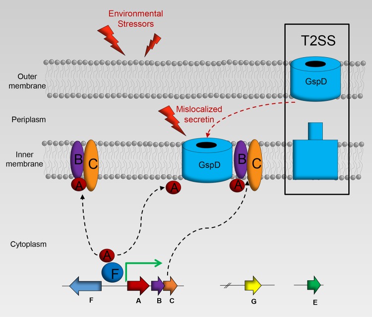 FIG 8