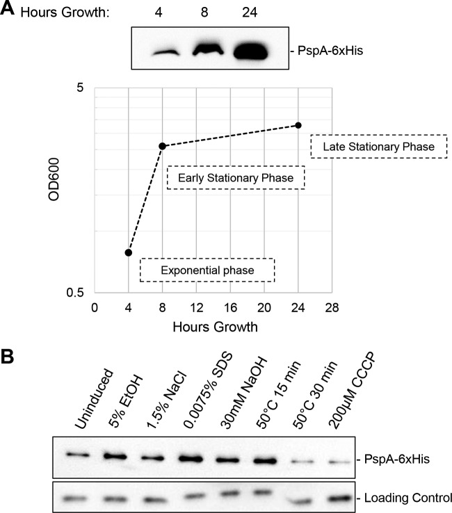 FIG 6