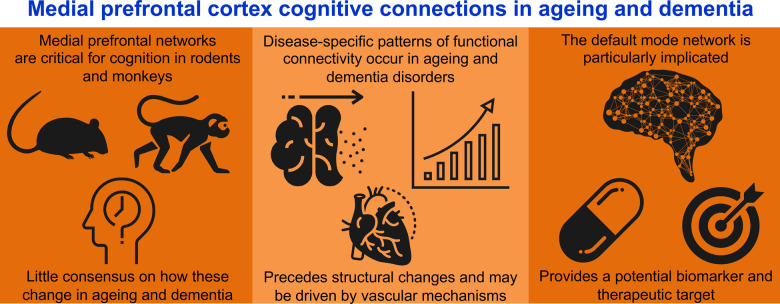 Graphical Abstract