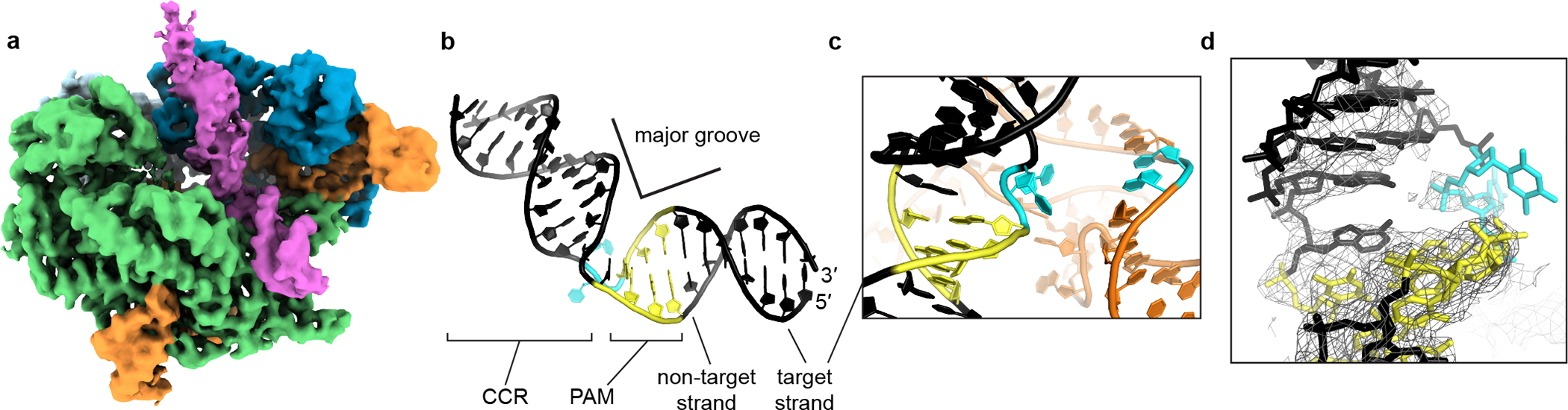 Fig. 3 |