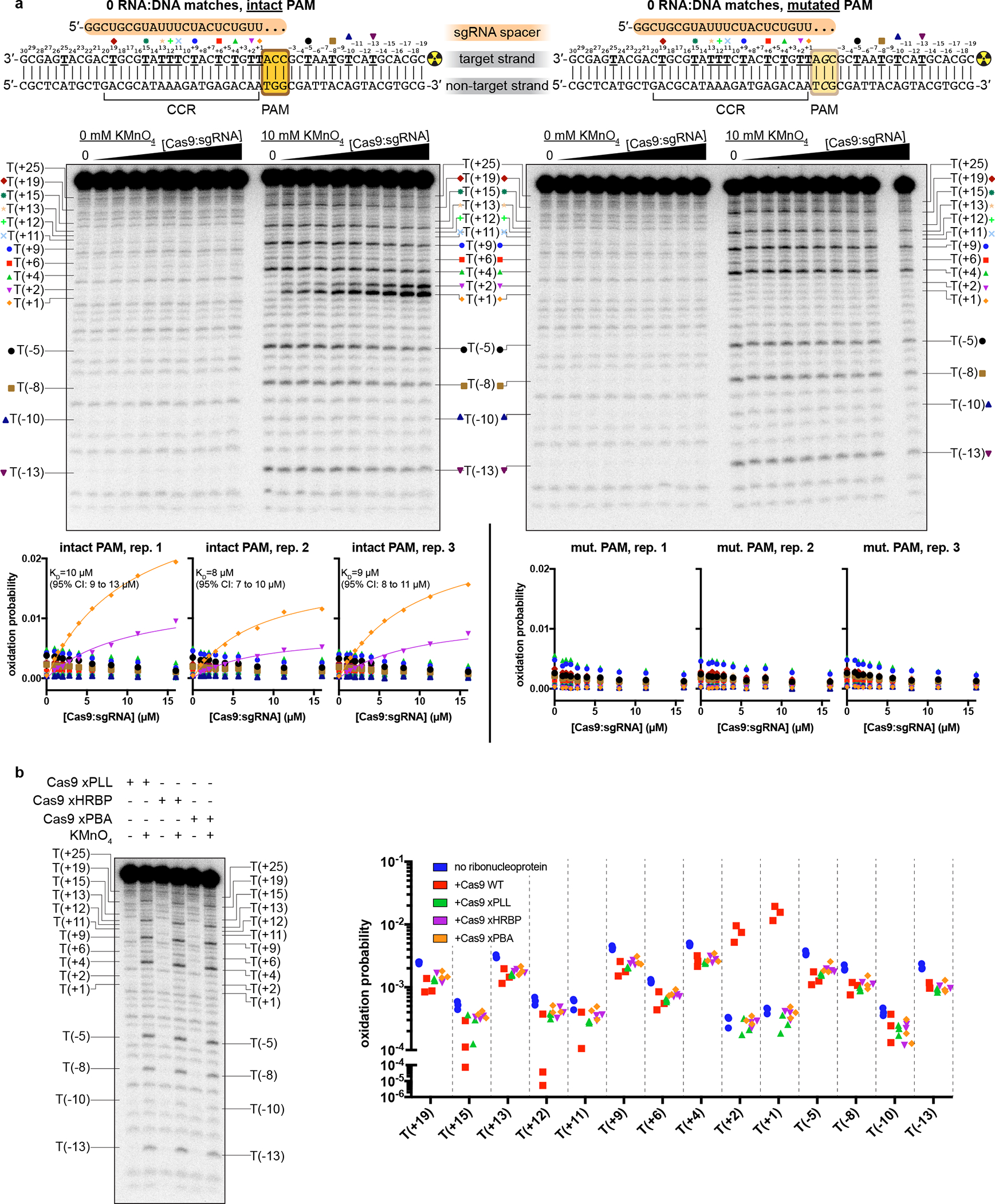 Extended Data Fig. 7