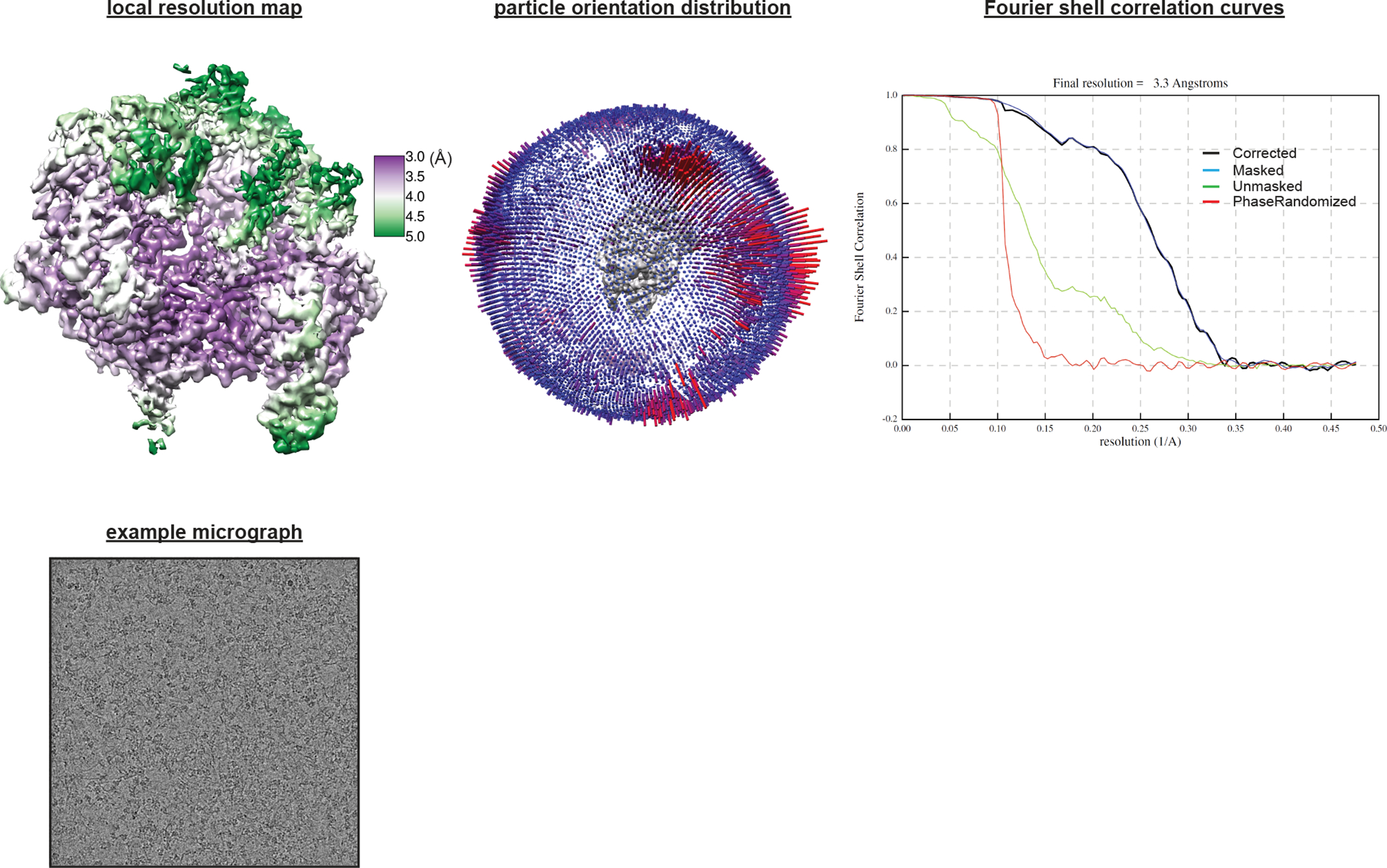 Extended Data Fig. 9