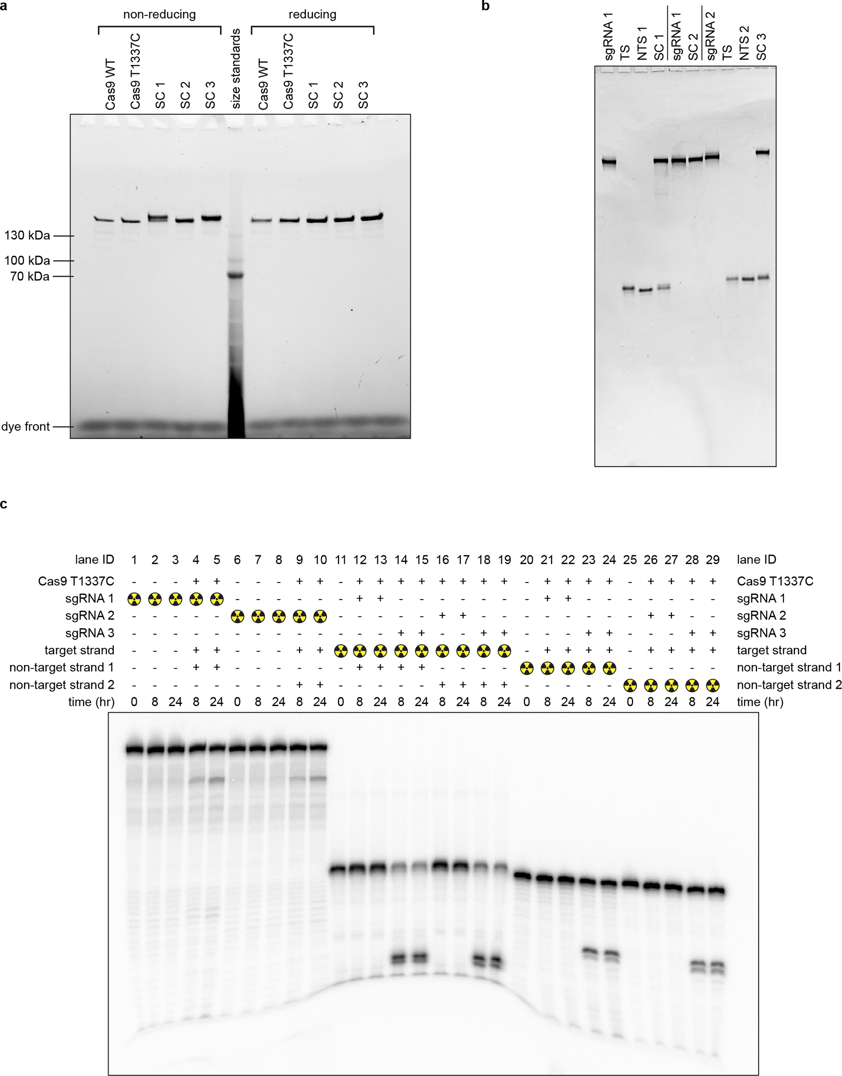 Extended Data Fig. 2