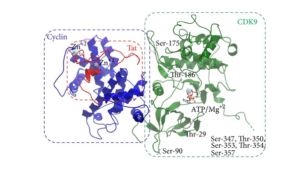 Figure 2