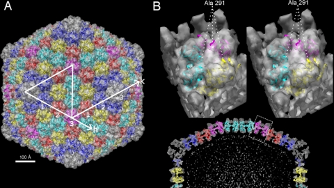 FIG. 4.