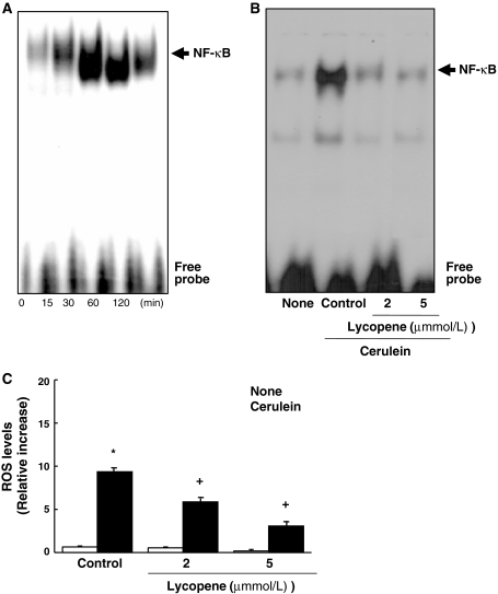 Fig. 3