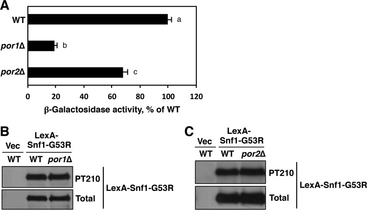 FIG 1 