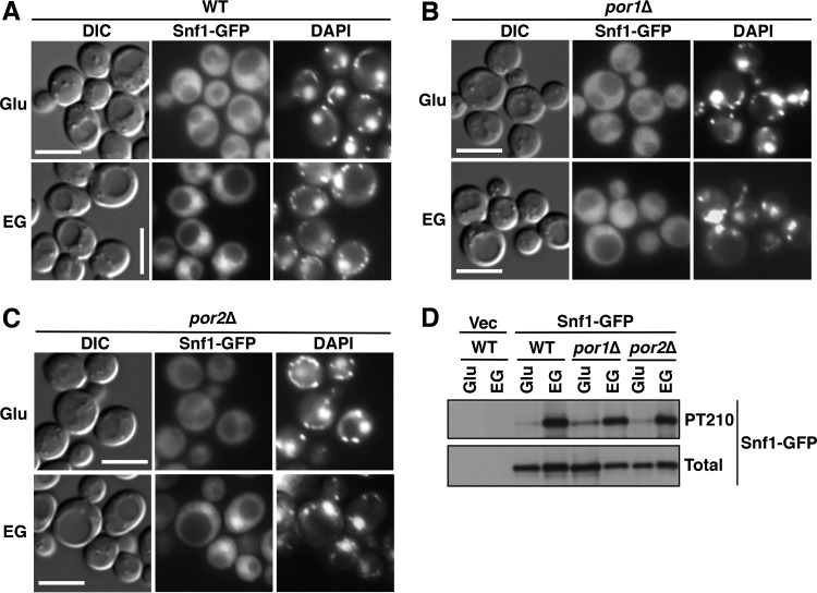 FIG 2 