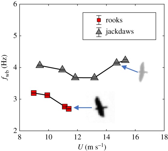 Figure 7.