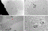Figure 7b