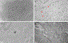 Figure 7d