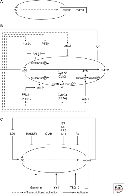 Figure 2.