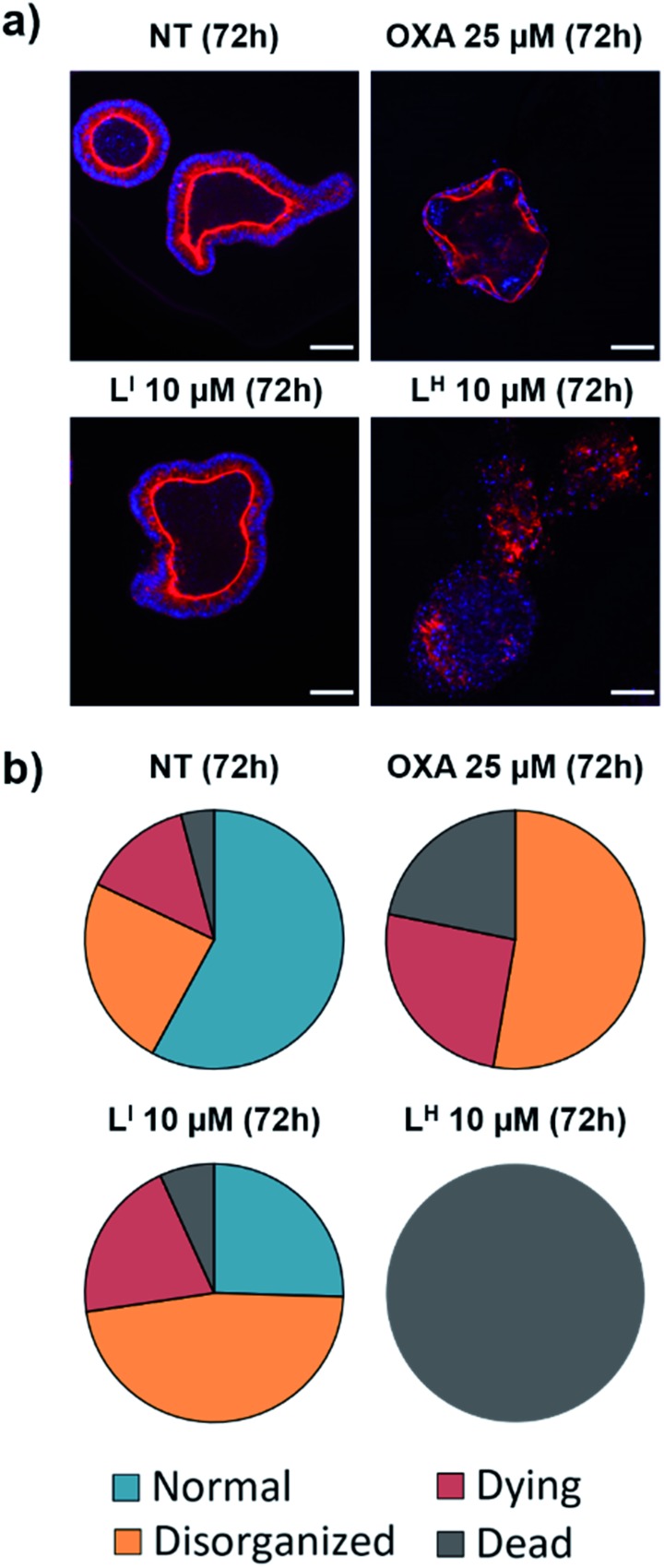 Fig. 11