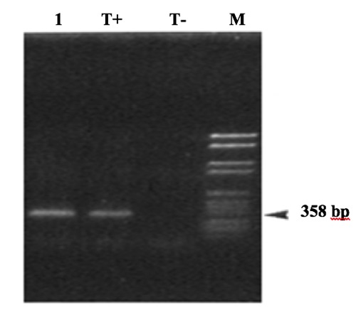 Figure 1.