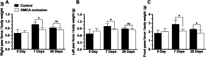 Fig. 2