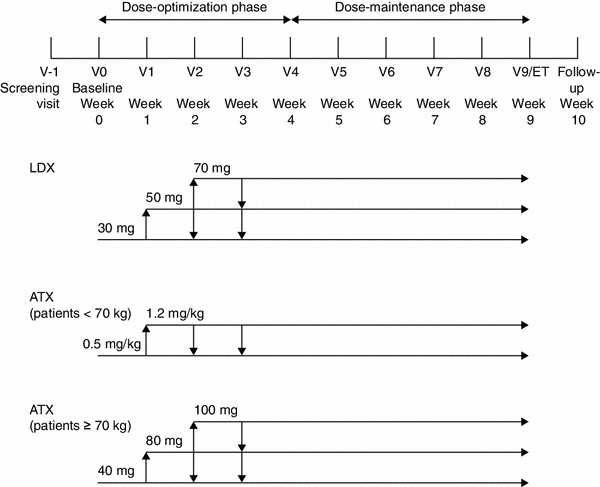 Fig. 1